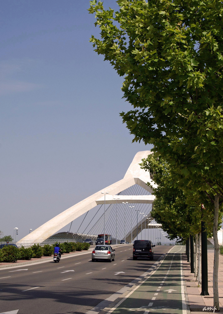 Puente del Tercer Milenio