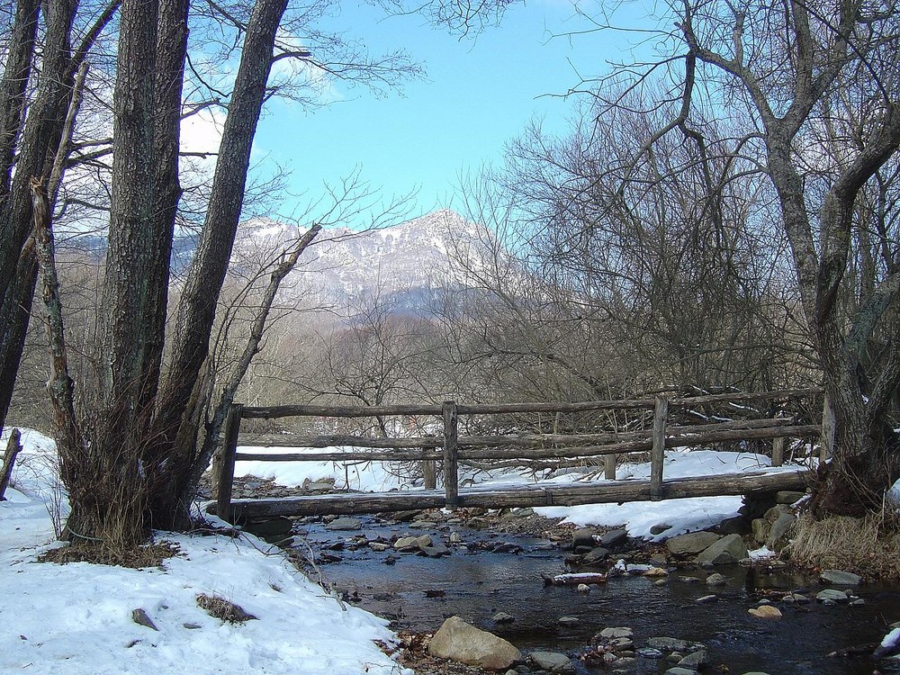 Puente en el Montseny