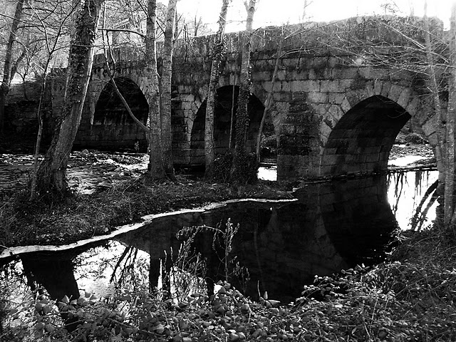 PUENTE LAMALENA