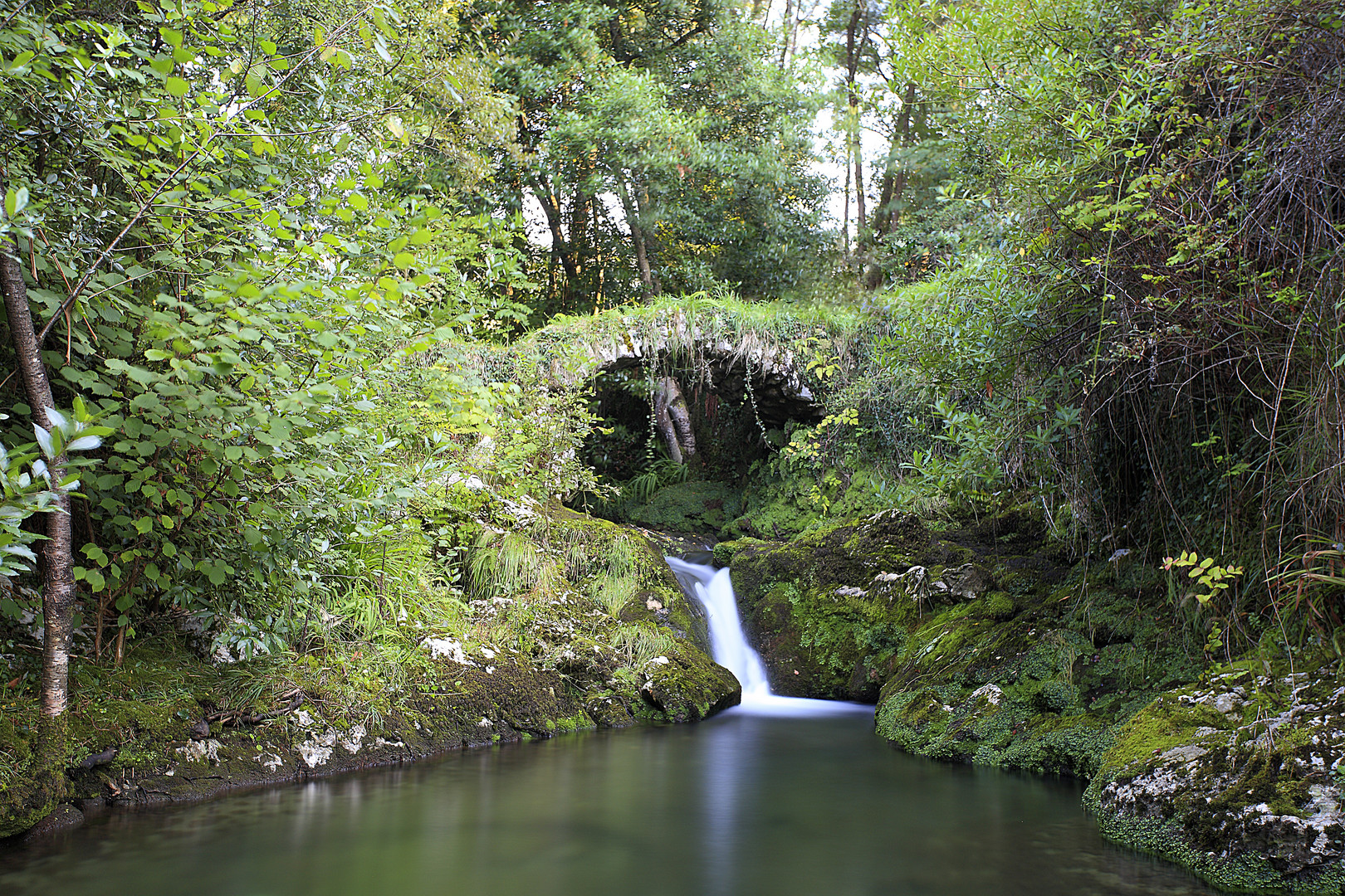 Puente medieval río Guadamía