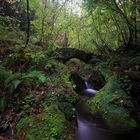 Puente medieval. Teyeu. Llanes. Asturias