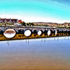 PUENTE MIRANDELA