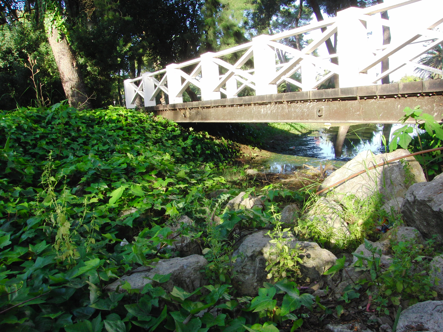 Puente Parque escenico Jerez de la Frontera