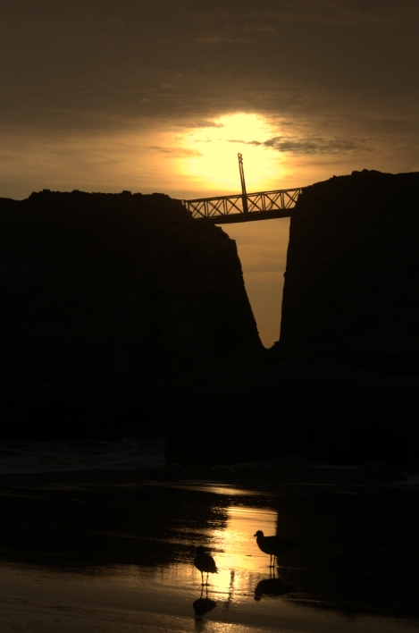 Puente playa Lobos, Cañete-Perú