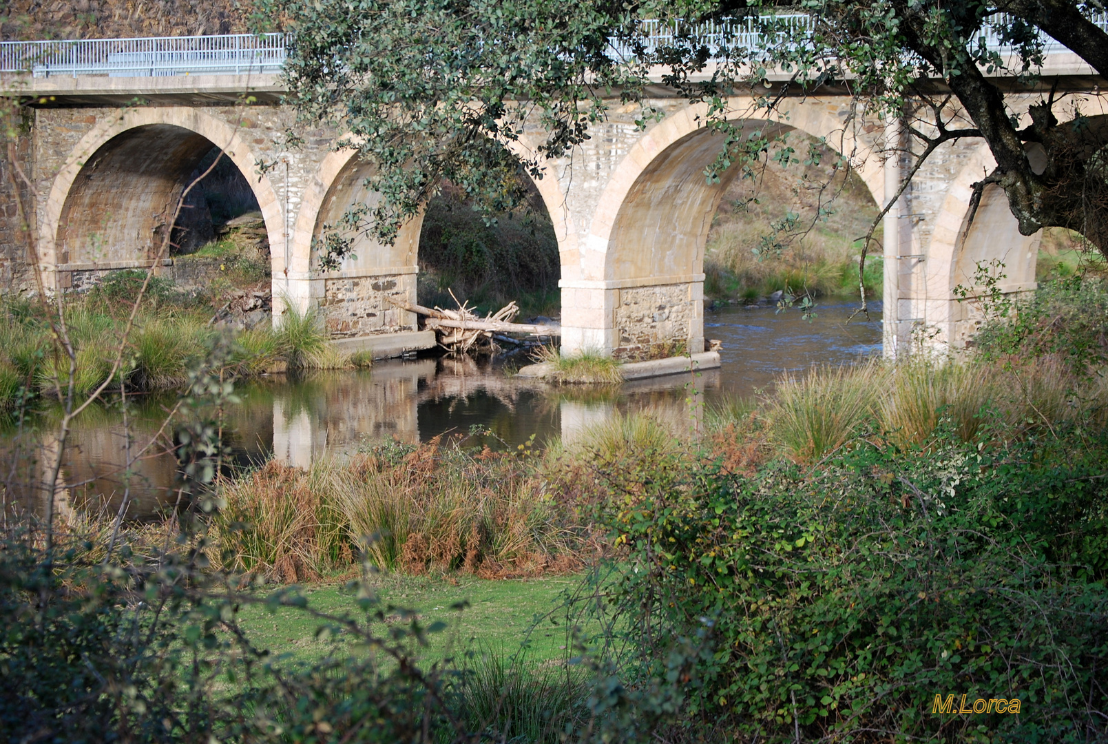 puente rio cuerpo de hombre