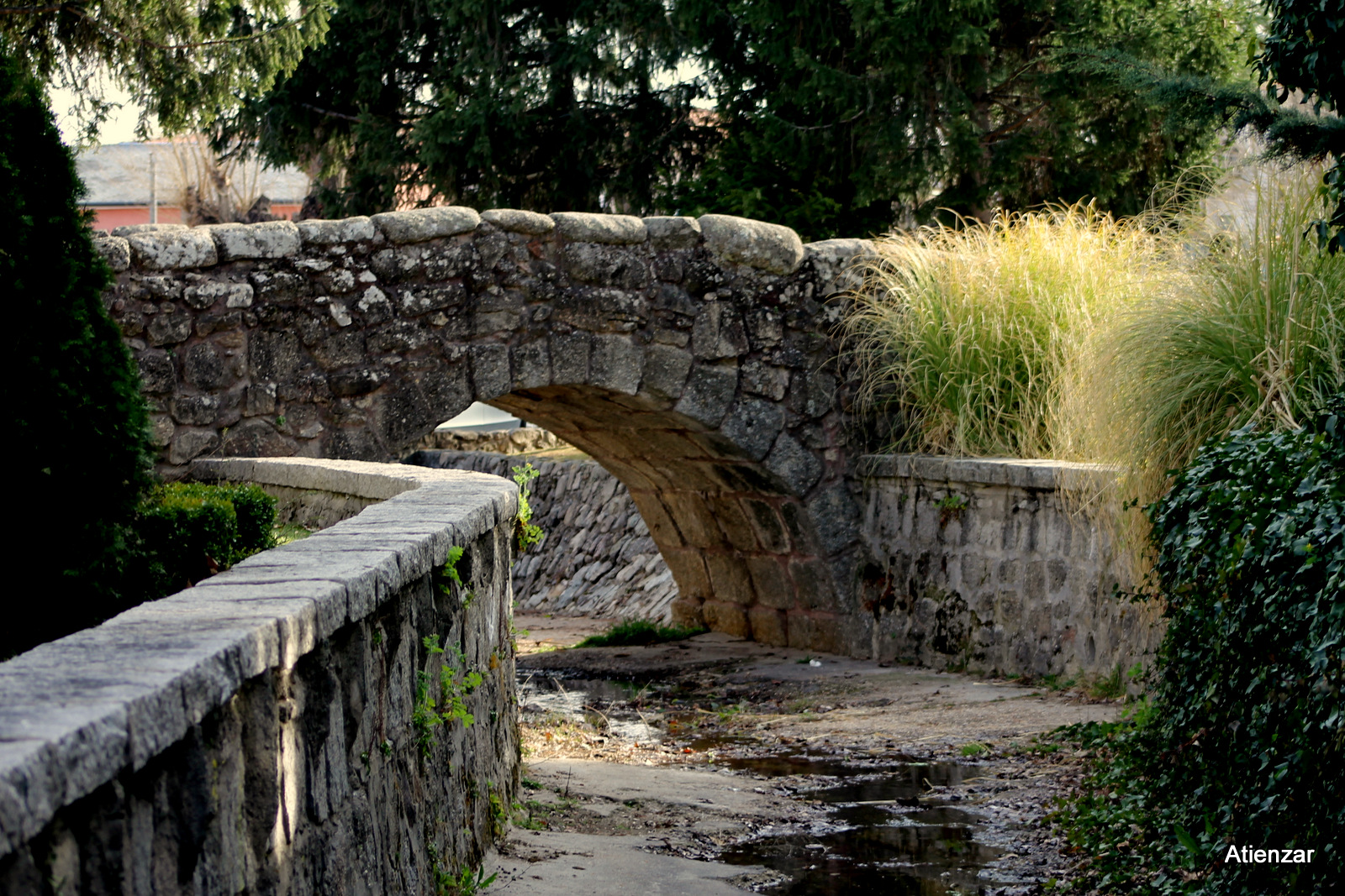 Puente Romanico.