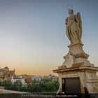 Puente Romano Cordoba