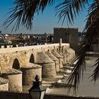 Puente Romano, Cordoba