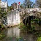 Puente romano de Vidán sobre El Sarela