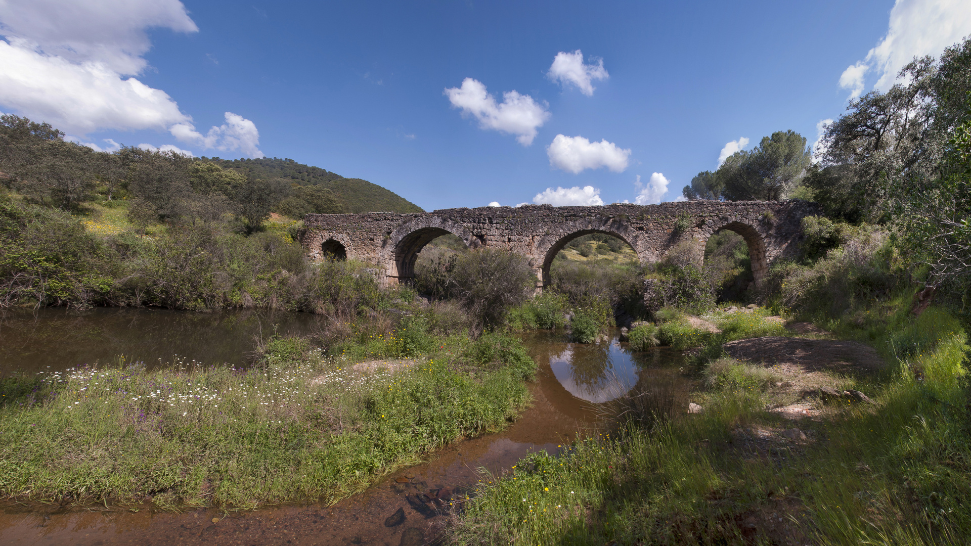 PUENTE ROMANO DEL GUADANUÑO