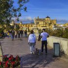 PUENTE ROMANO SE VISTE DE NAVIDAD