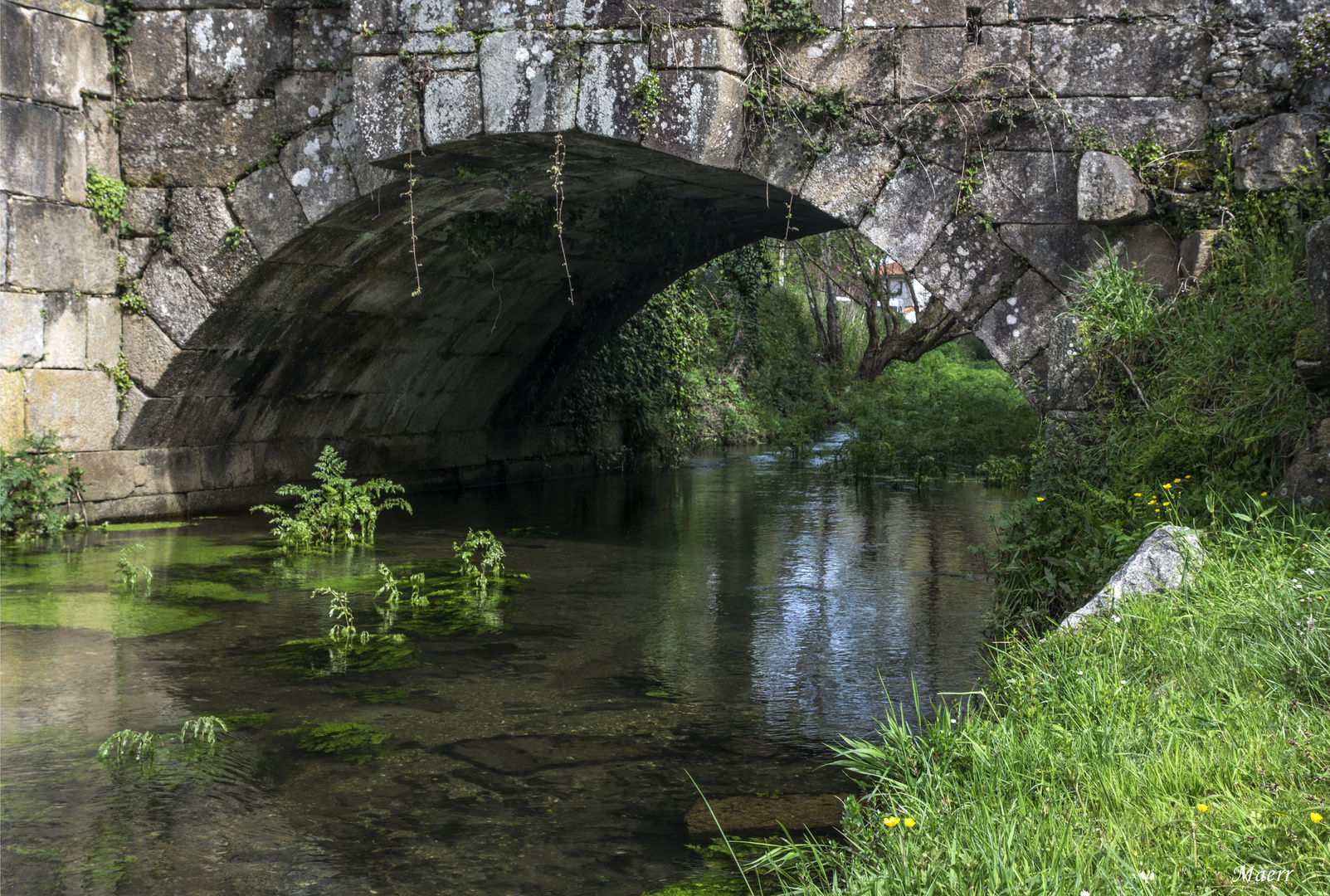 Puente romano sobre El Sarela  