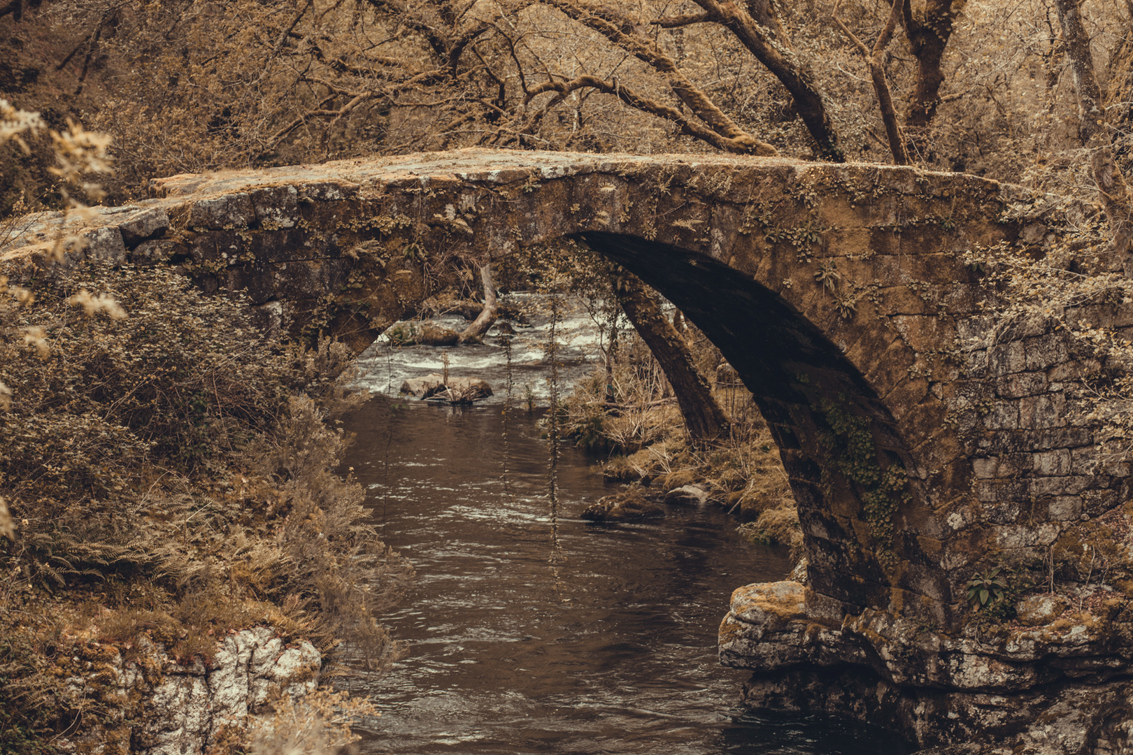 Puente sobre el río