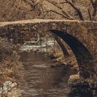 Puente sobre el río