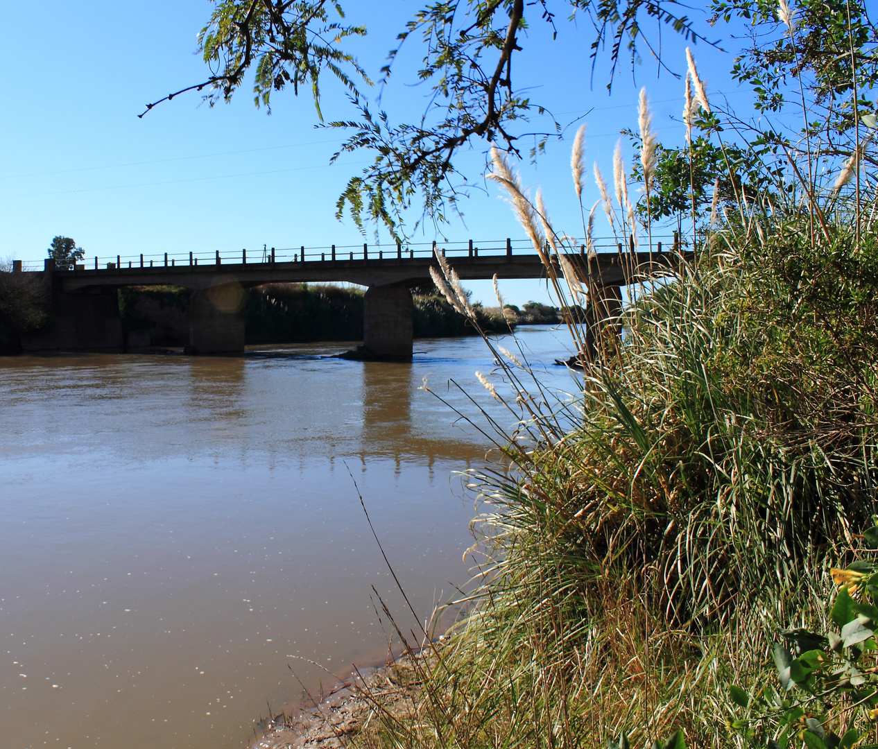 Puente sobre el río Carcarañá