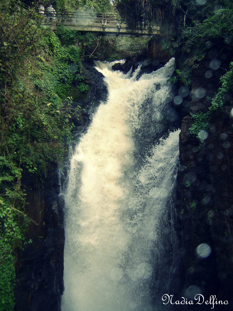 Puente y Cascada de Las Cataratas