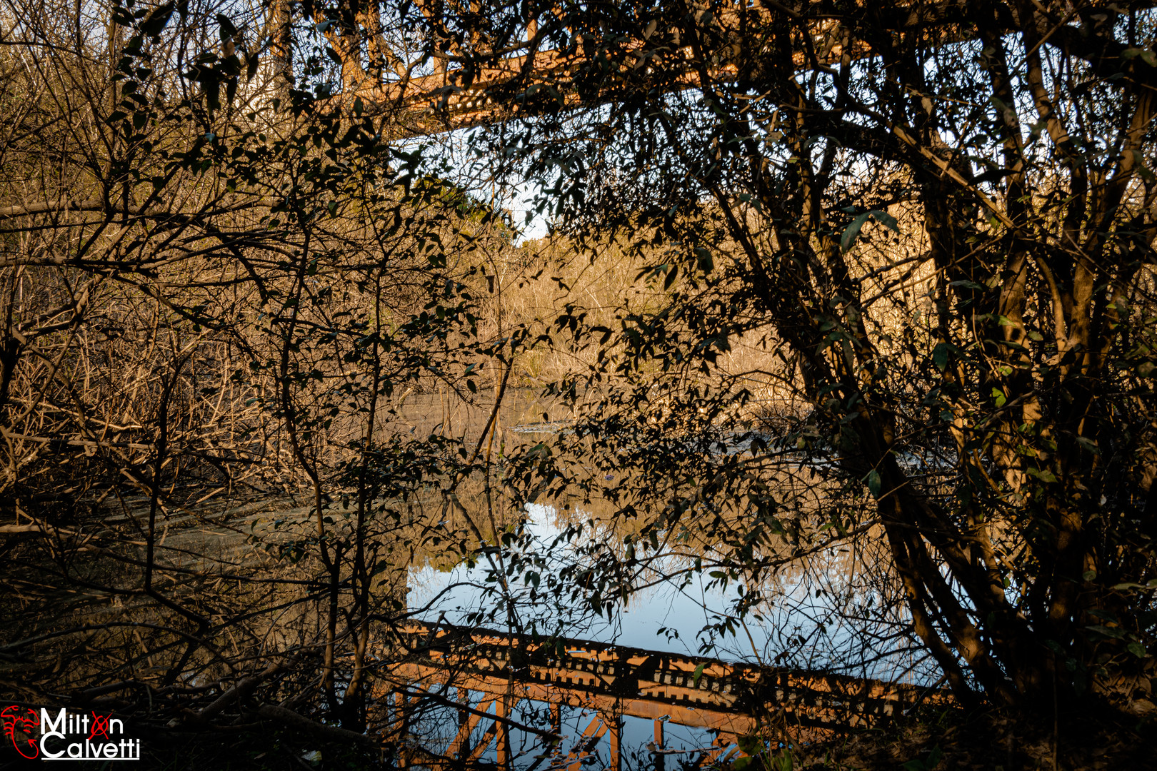 Puente y reflejo