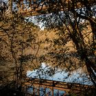 Puente y reflejo