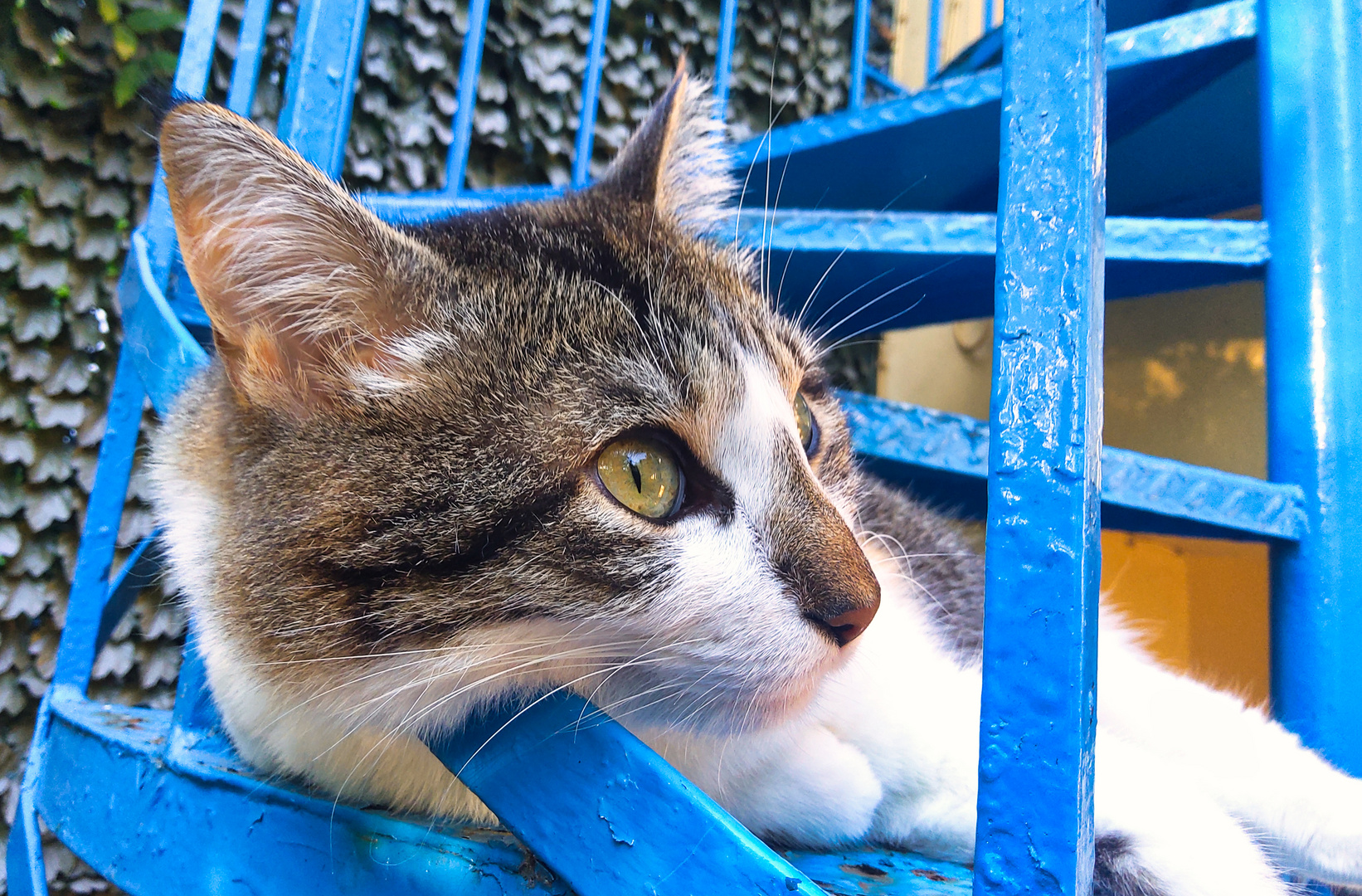 Püppi auf der Wendeltreppe 1