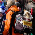 Püppi im Kölner Karneval