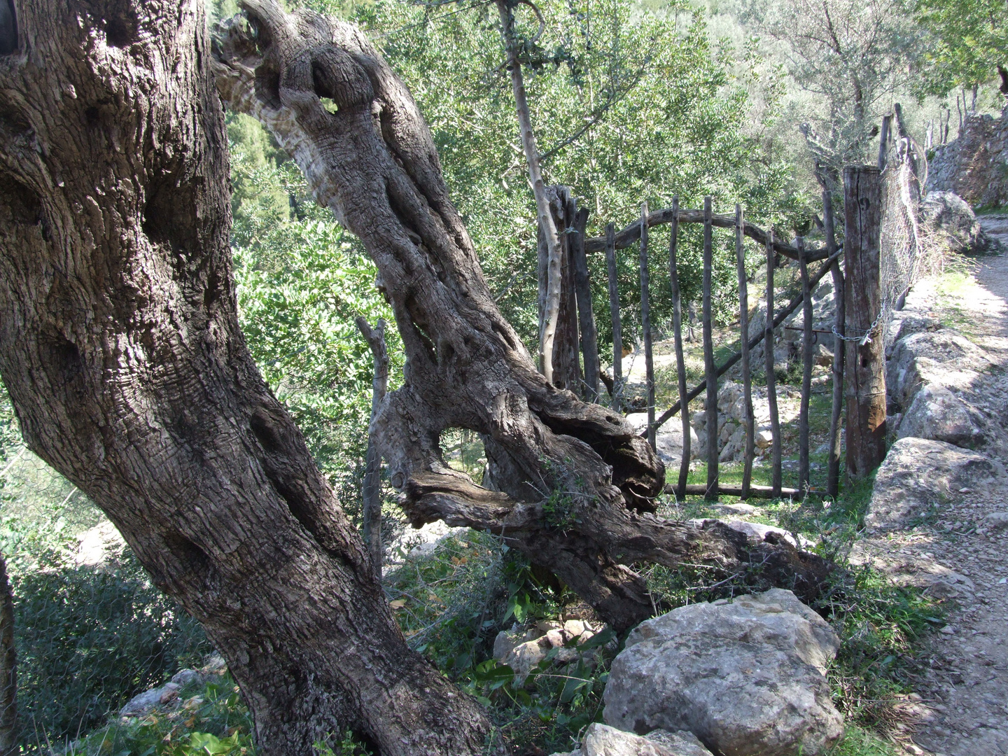 puerta a la naturaleza