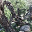 puerta a la naturaleza