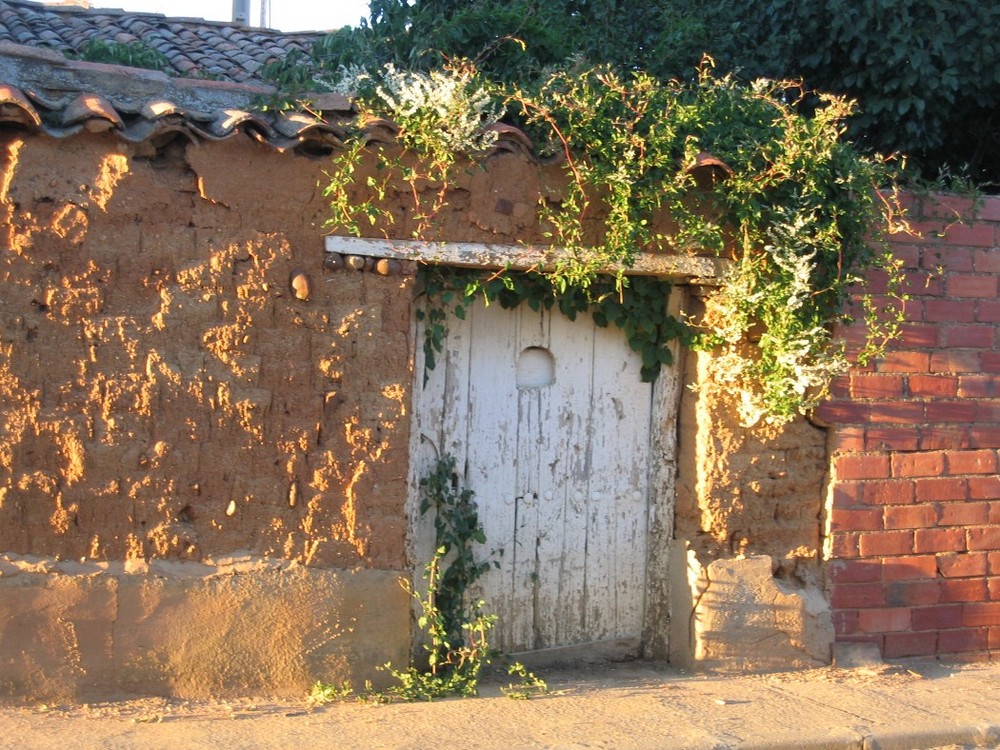 puerta de atras