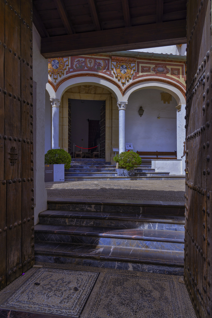 PUERTA DE ENTRADA 