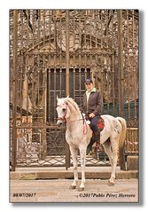 Puerta de Obradoiro Santiago de Compostela.