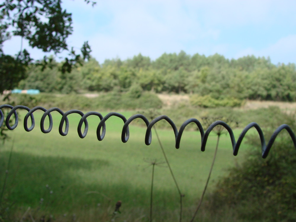 Puertas al campo