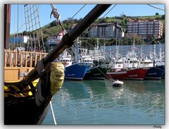 Puerto de Bermeo 2 (Vizcaya)