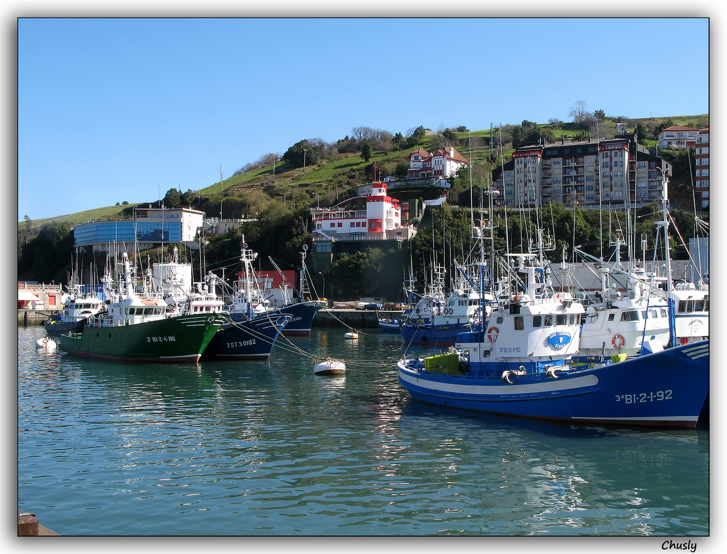 Puerto de Bermeo 3 (Vizcaya)