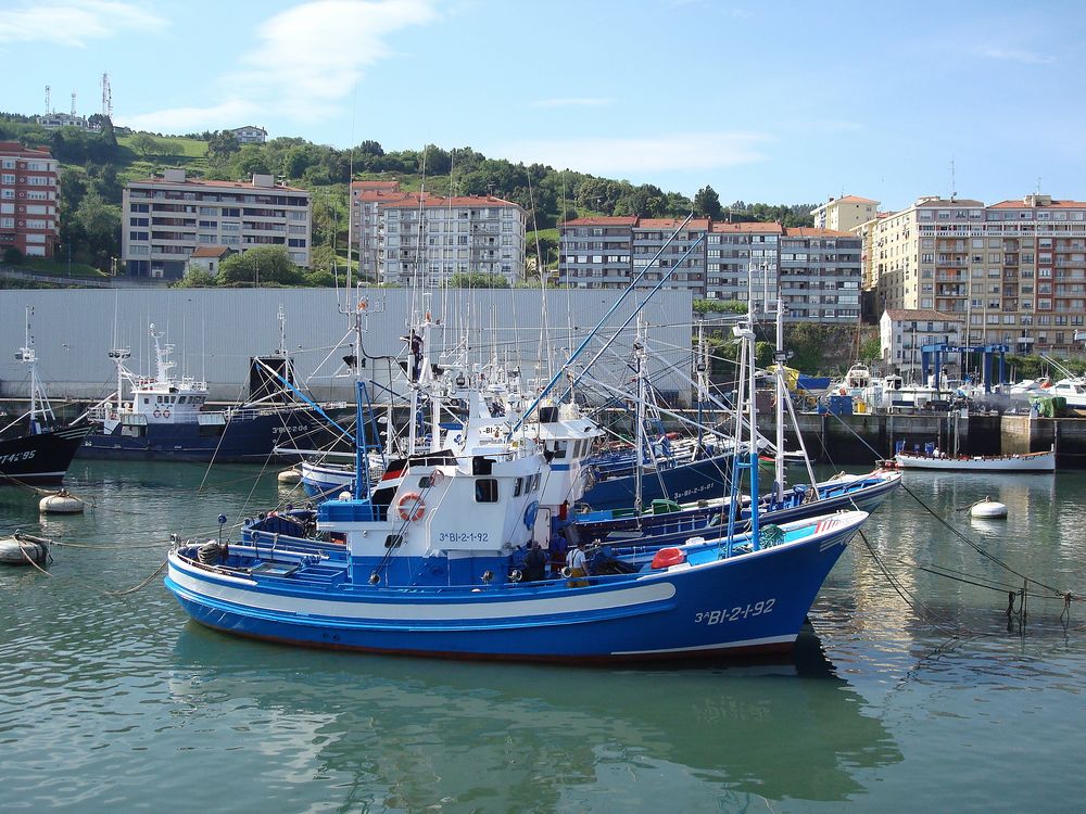 Puerto de Bermeo II