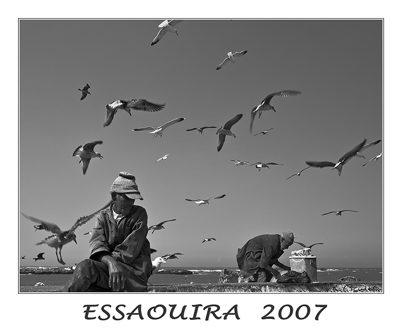 Puerto de Essaouira