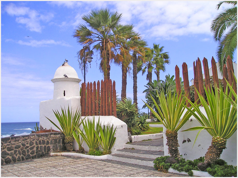 Puerto de la Cruz