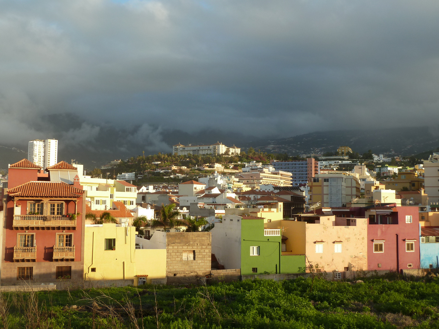 Puerto de la Cruz