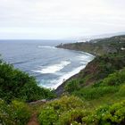 ...Puerto de la Cruz al fondo...