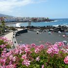 Puerto de la Cruz