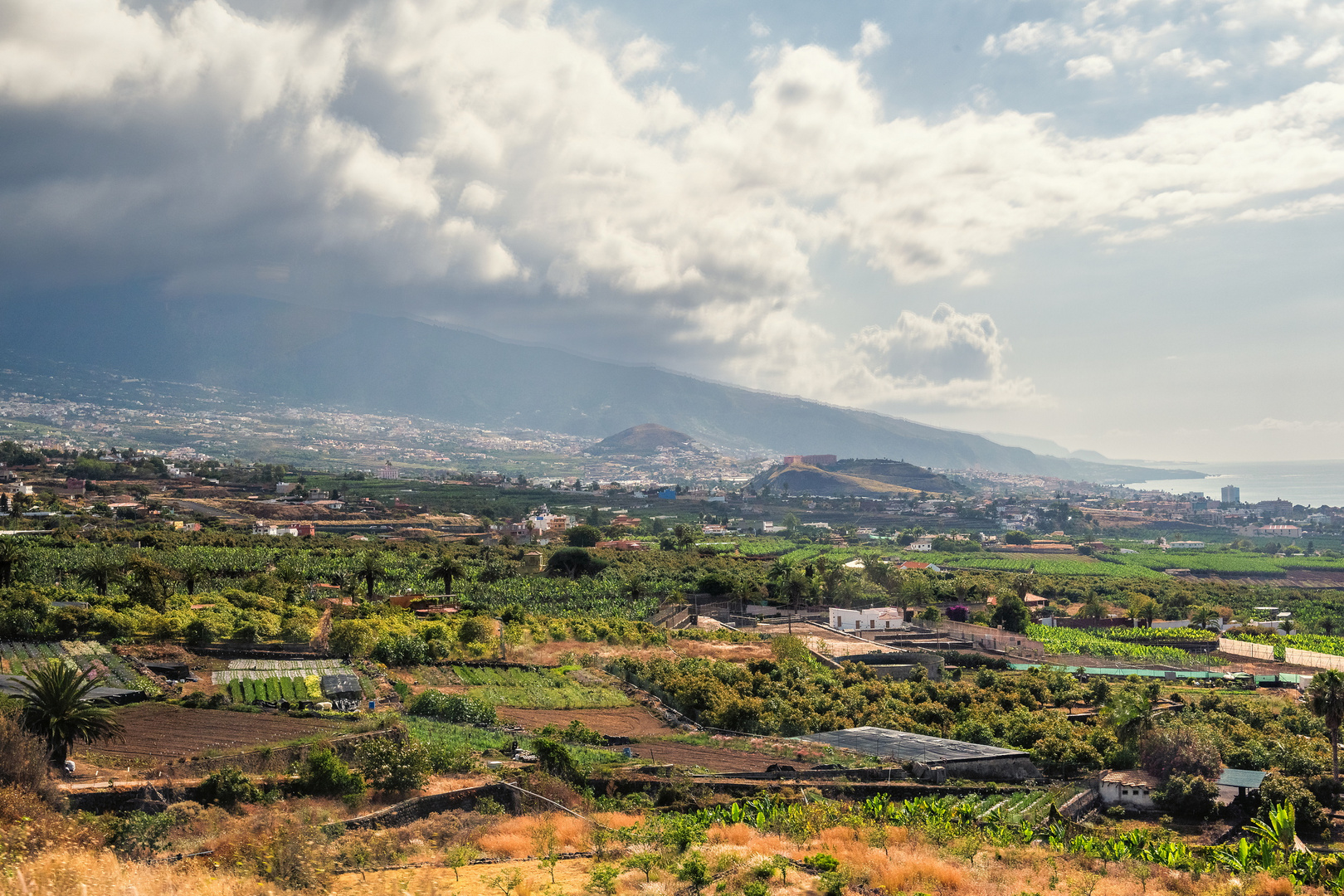 Puerto de la Cruz