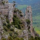 PUERTO DE LAS PALOMAS (Grazalema)