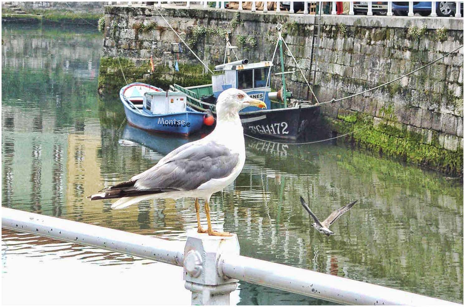 Puerto de Llanes (Asturias)