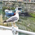 Puerto de Llanes (Asturias)