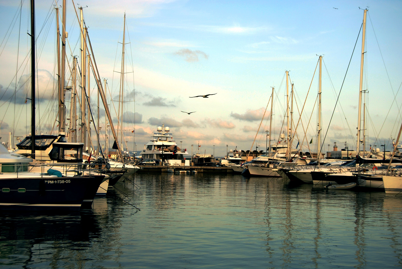 Puerto de Mallorca