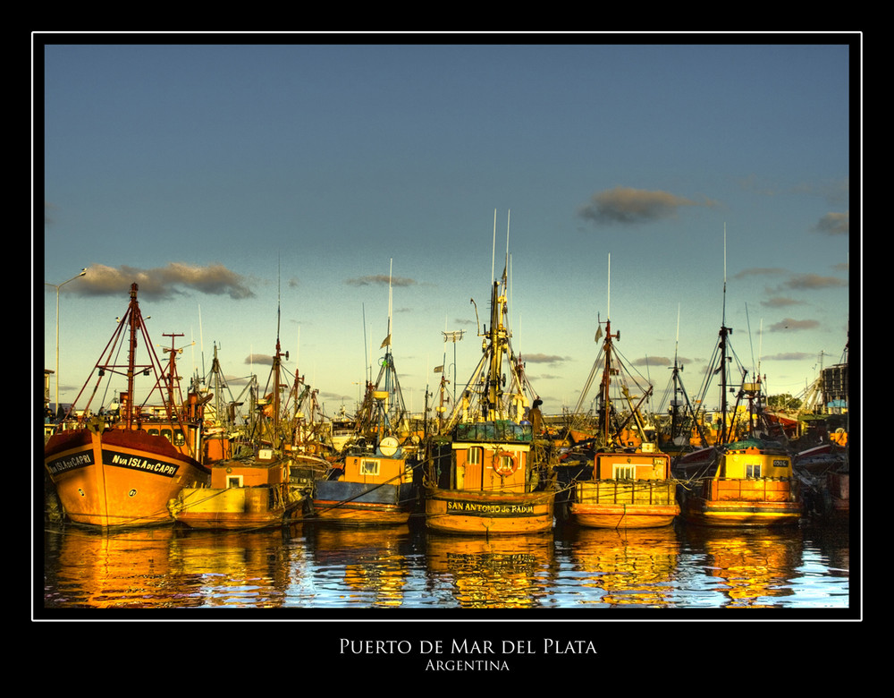 Puerto de Mar del Plata 2008