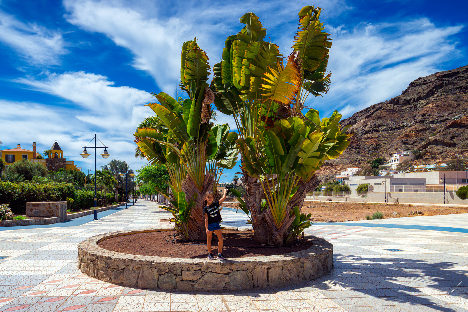 Puerto de Mogan