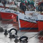 PUERTO DE PESCADORES . PUNTA DEL ESTE