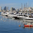 Puerto de Punta del Este