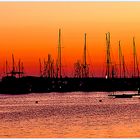 Puerto de Sant Antoni por la noche