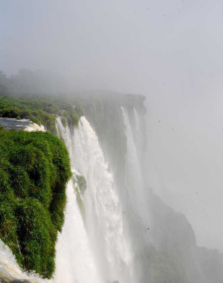 Puerto Iguazu