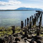 Puerto Natales - Chile